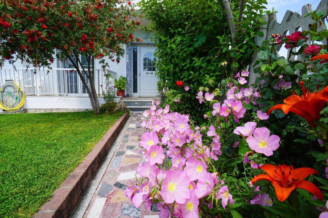 Village Avdira Family House 外观 照片